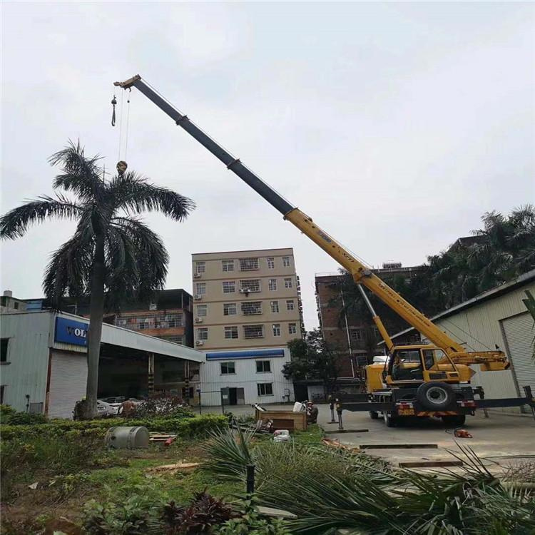 苍梧吊车吊大树几种方法